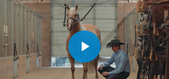 Screen Shot 2019-10-16 at 1.32