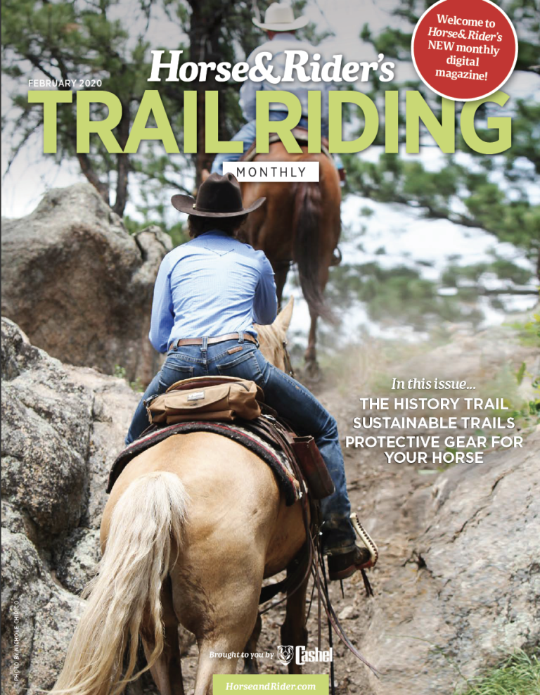 Screen Shot 2020-02-17 at 9.18