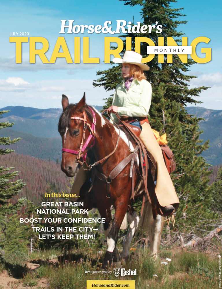 Screen Shot 2020-07-13 at 12.36