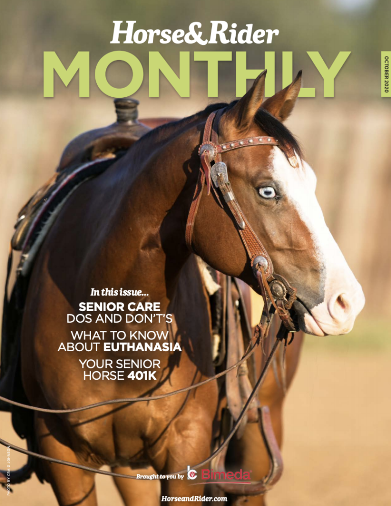 Screen Shot 2020-10-28 at 11.13