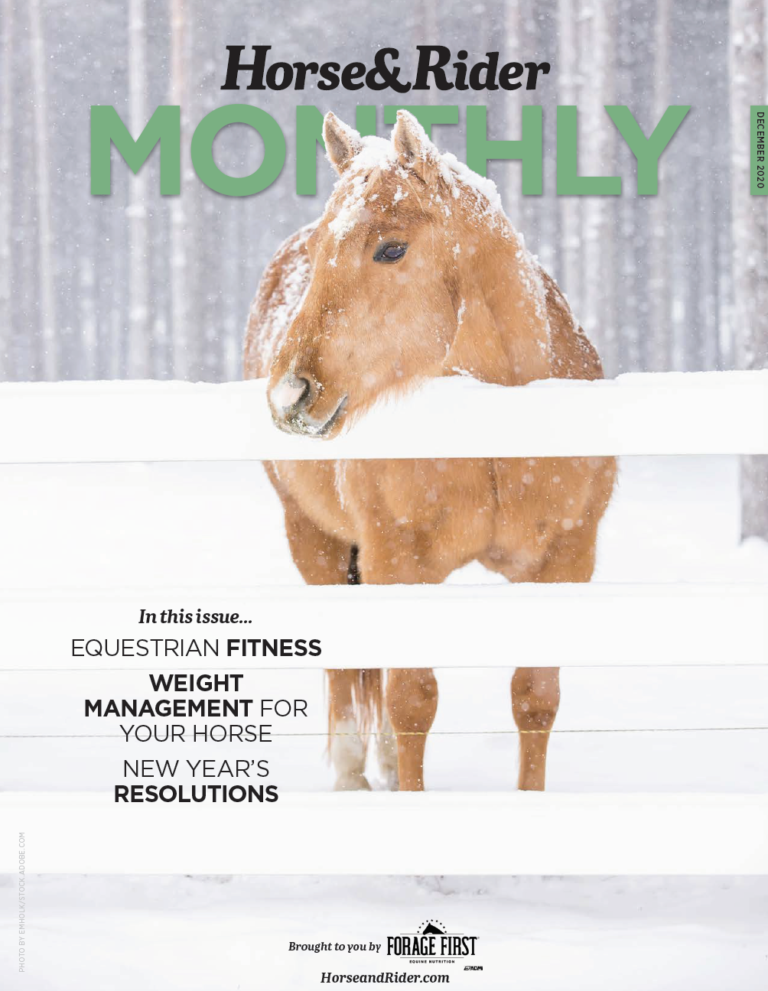 Screen Shot 2020-11-30 at 11.11