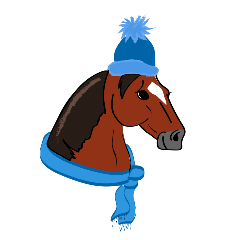 Screen Shot 2021-01-12 at 10.33