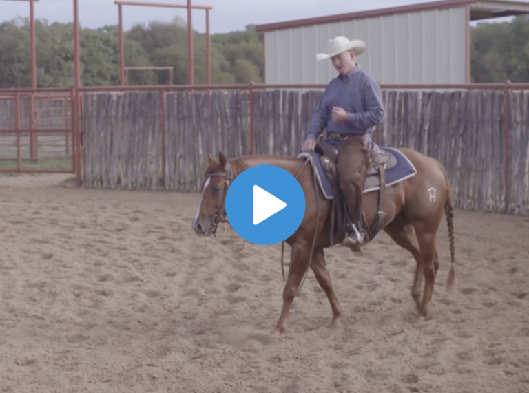 Screen Shot 2021-06-10 at 10.19