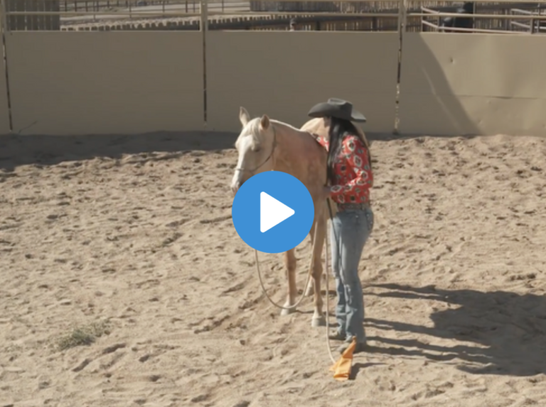 Screen Shot 2021-06-21 at 12.05