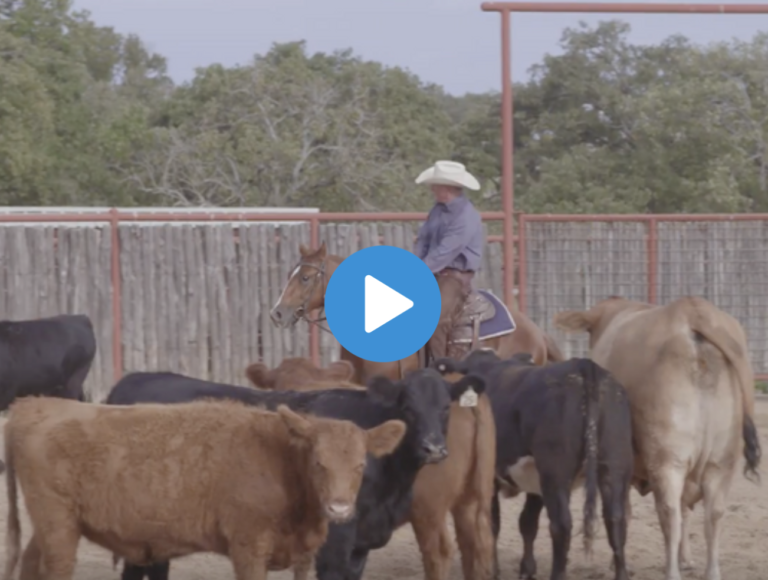 Screen Shot 2021-06-21 at 12.19