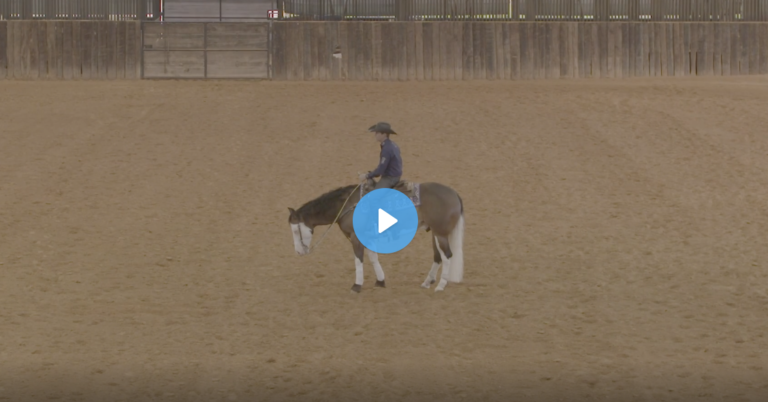 Screen Shot 2021-06-22 at 11.07