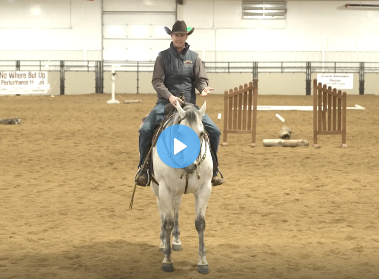 Screen Shot 2021-07-06 at 10.42