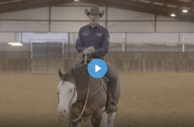 Screen Shot 2021-07-06 at 3.04