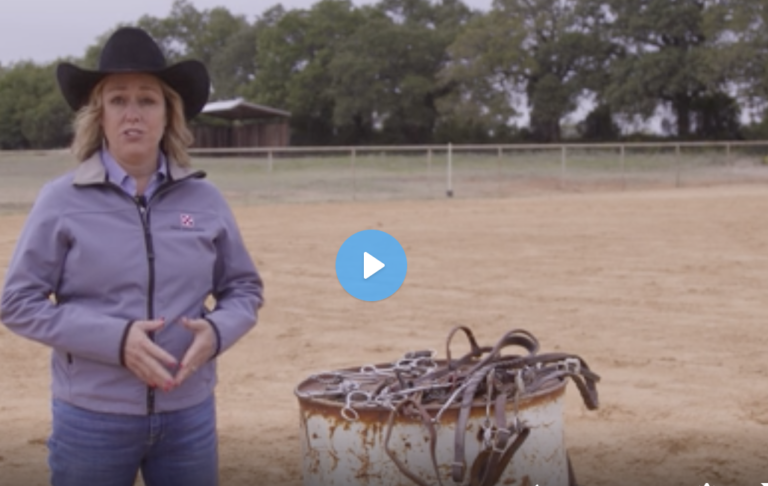 Screen Shot 2021-07-06 at 3.10