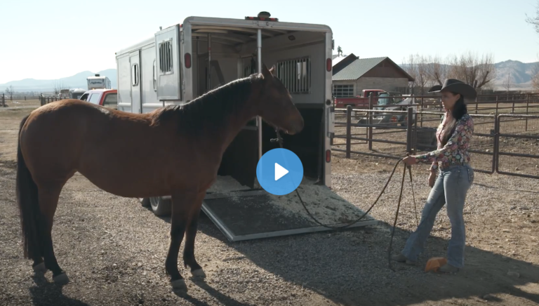 Screen Shot 2021-07-15 at 3.36