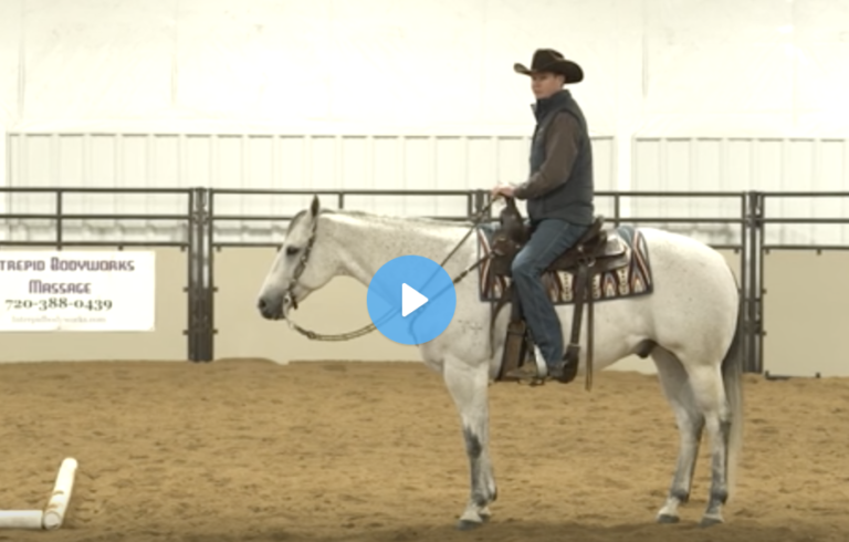 Screen Shot 2021-07-21 at 11.19