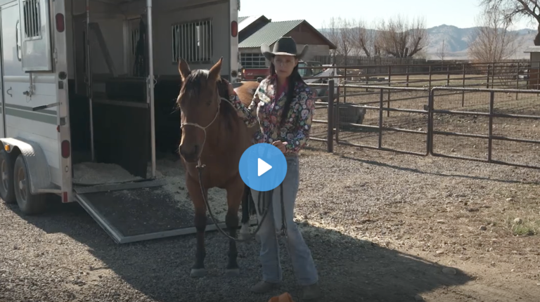 Screen Shot 2021-07-28 at 8.48