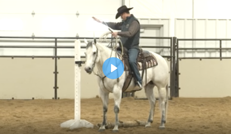 Screen Shot 2021-08-03 at 5.14