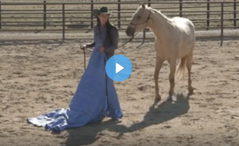 Screen Shot 2021-08-10 at 3.33