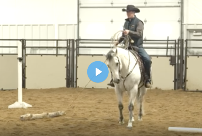 Screen Shot 2021-08-10 at 3.45