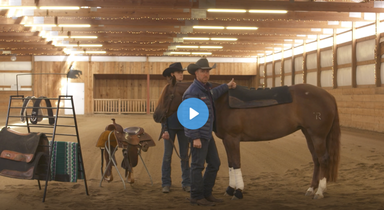 Screen Shot 2021-08-10 at 3.50