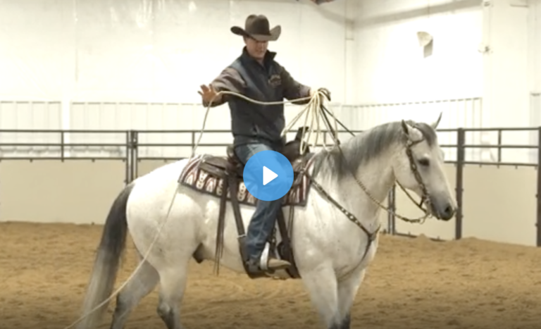 Screen Shot 2021-08-19 at 8.35