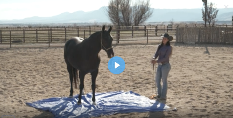 Screen Shot 2021-08-25 at 4.15