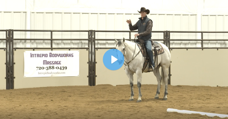 Screen Shot 2021-08-26 at 12.31