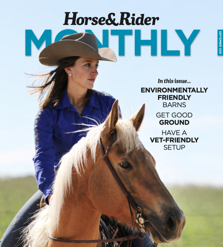 Screen Shot 2021-08-26 at 2.45