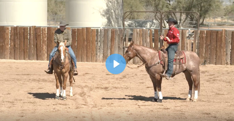 Screen Shot 2021-09-08 at 1.19