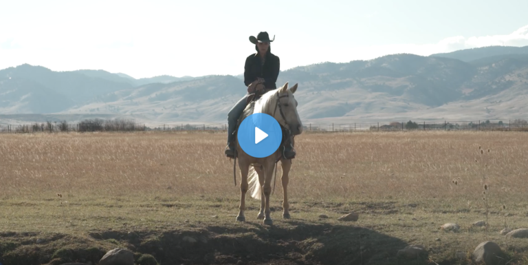 Screen Shot 2021-09-08 at 1.31