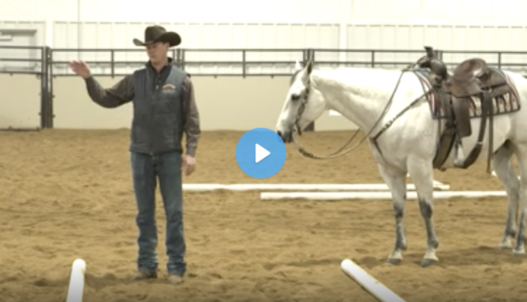 Screen Shot 2021-09-08 at 1.59