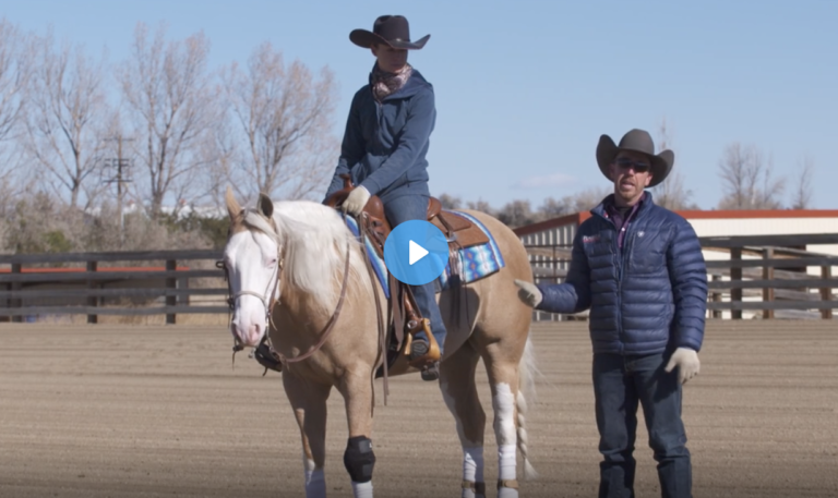 Screen Shot 2021-09-15 at 11.15