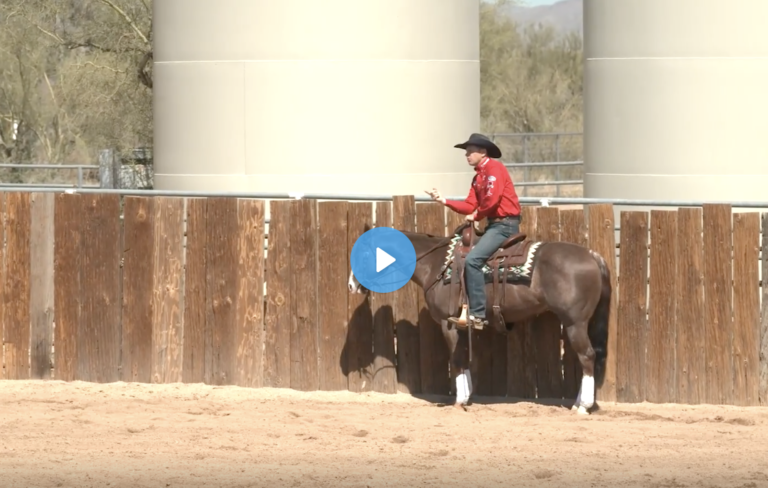 Screen Shot 2021-09-22 at 11.04