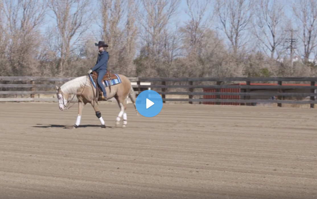 Putting Together a Reining Pattern