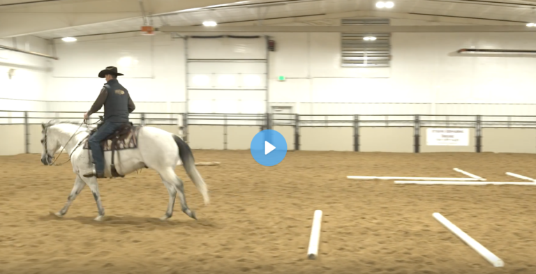 Screen Shot 2021-09-30 at 10.48