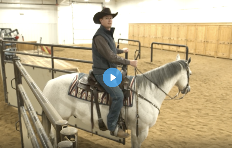 Screen Shot 2021-10-06 at 12.09