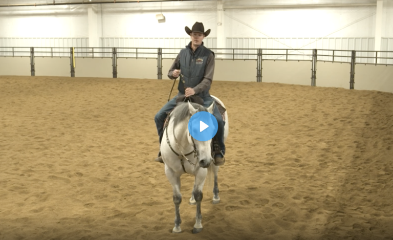 Screen Shot 2021-10-14 at 10.48