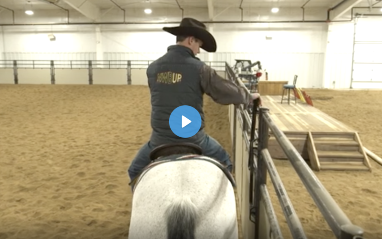 Screen Shot 2021-10-20 at 10.36