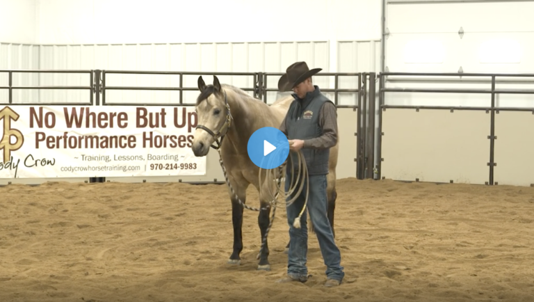 Screen Shot 2021-10-27 at 4.49