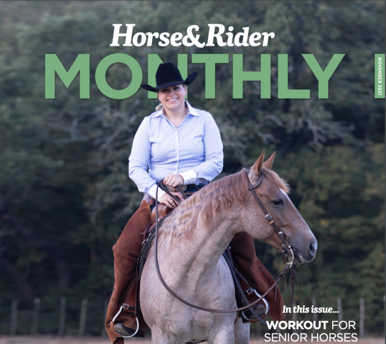 Screen Shot 2021-11-03 at 4.05