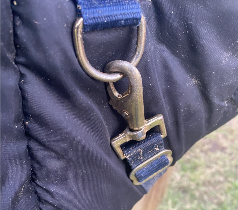 Screen Shot 2021-11-04 at 11.51