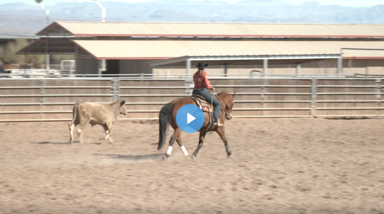 Screen Shot 2021-11-10 at 9.50