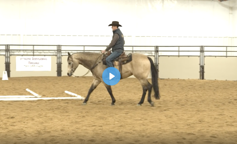 Screen Shot 2021-11-11 at 9.08