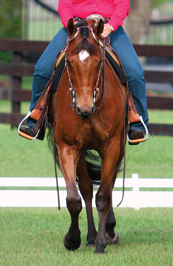 Self-Carriage Refresher promo image