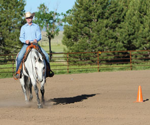 Shapely Circles promo image
