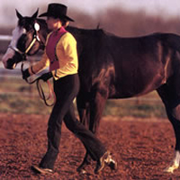 Sharpen your Showmanship Precision promo image