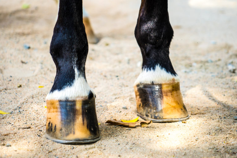 shutterstock_397670281