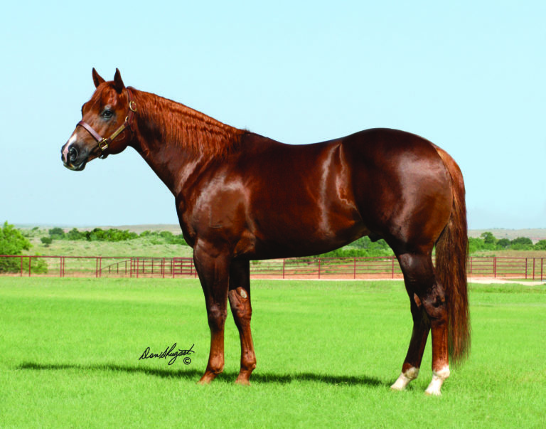 Sixes Pick Profile-lg