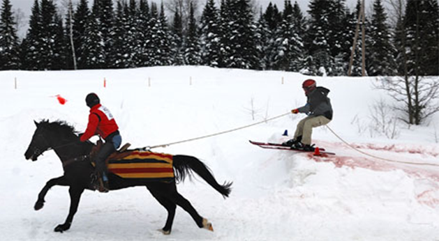 Slide Into Skijoring with Your Horse promo image
