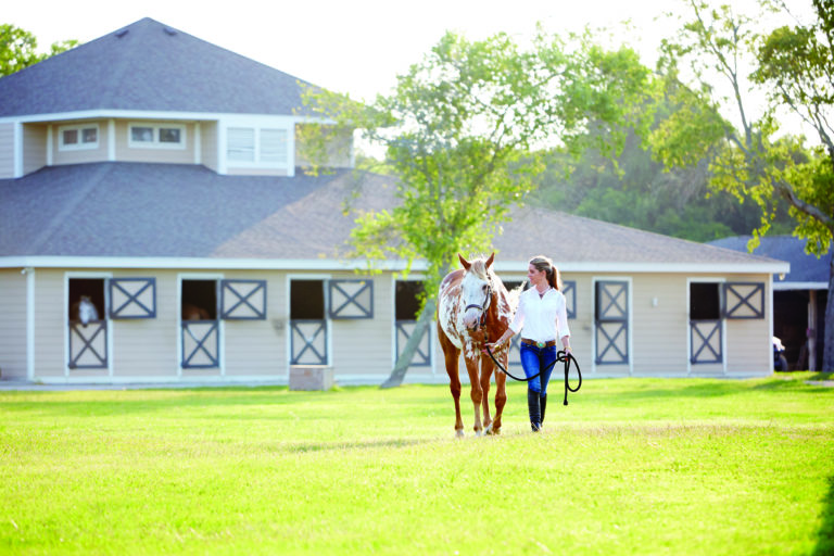 SOUTHCAROLINA-SEABROOK-2