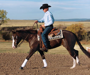 Speed Control promo image