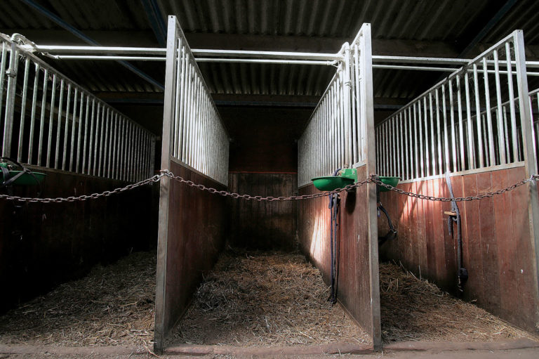 Stolen Horse promo image