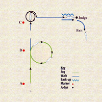Super-Skills Showmanship promo image
