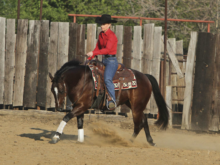 Suppling the One-Sided Horse promo image